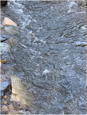 Reivindicación daños