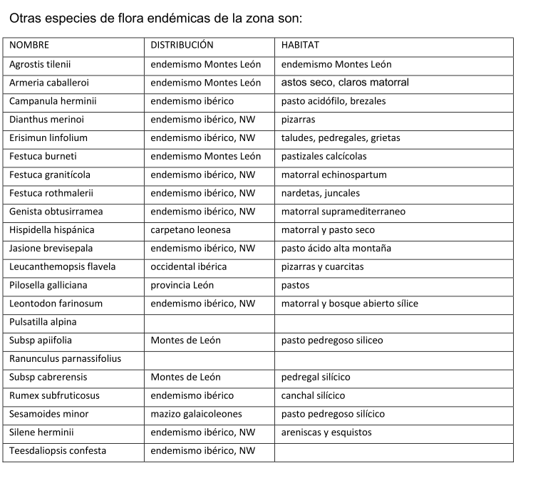 Tabla Especies Flora